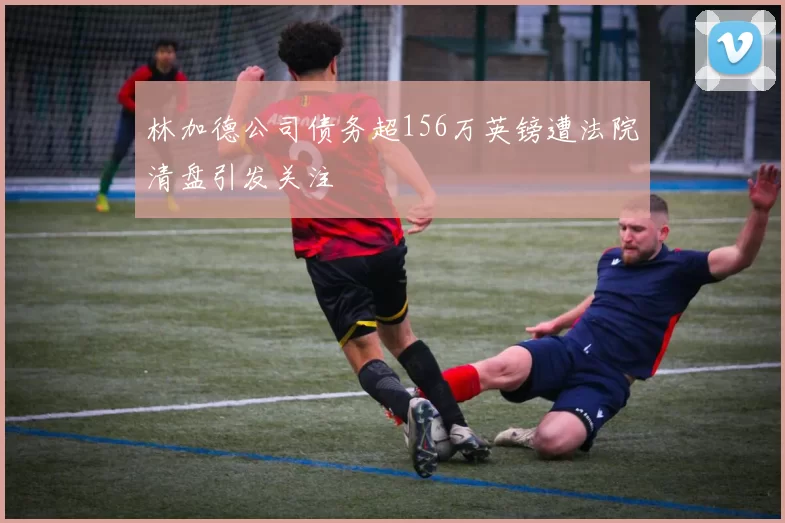 林加德公司债务超156万英镑遭法院清盘引发关注