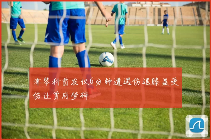 津琴科首发仅6分钟遭遇伤退膝盖受伤让贾府梦碎